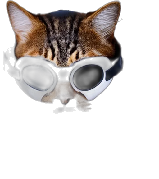 mask, animal, face, hat transparent PNG cut-out