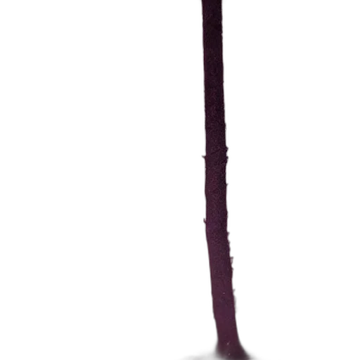 staff, sword, weapon, crown transparent PNG cut-out