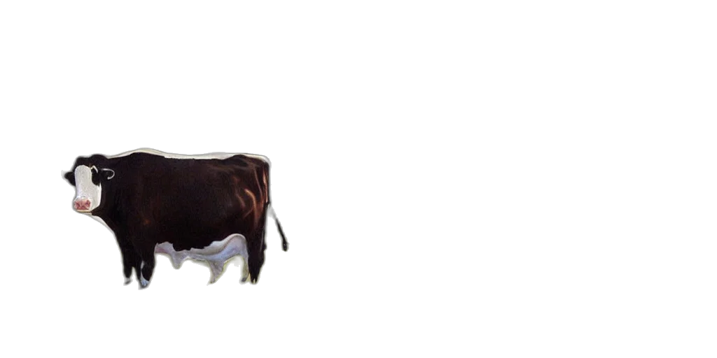 animal, creature, food, robot transparent PNG cut-out
