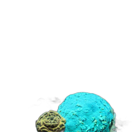 food, hat, animal, creature transparent PNG cut-out