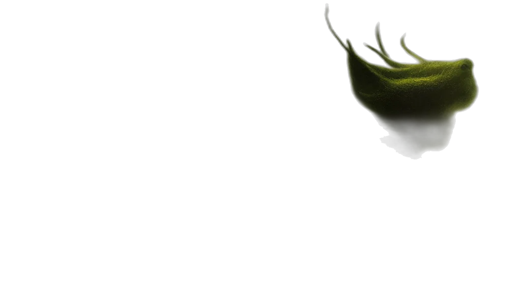 hair, dragon, crown, creature transparent PNG cut-out