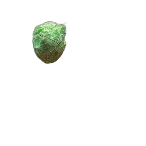 food, jewelry, tree, weapon transparent PNG cut-out