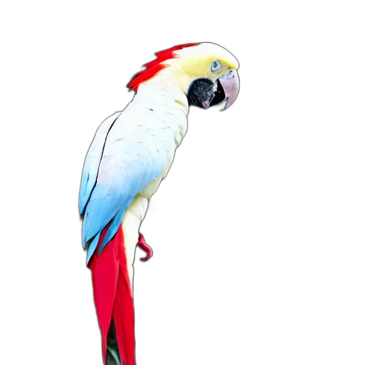 animal, staff, jewelry, creature transparent PNG cut-out