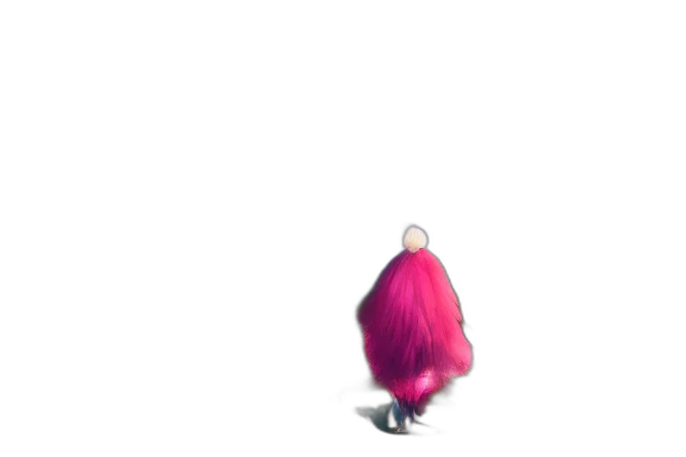 hair, creature, dress, jacket transparent PNG cut-out