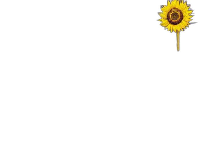 flower, staff, umbrella, crown transparent PNG cut-out