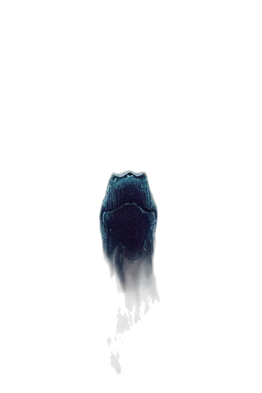 creature, animal, mask, hair transparent PNG cut-out