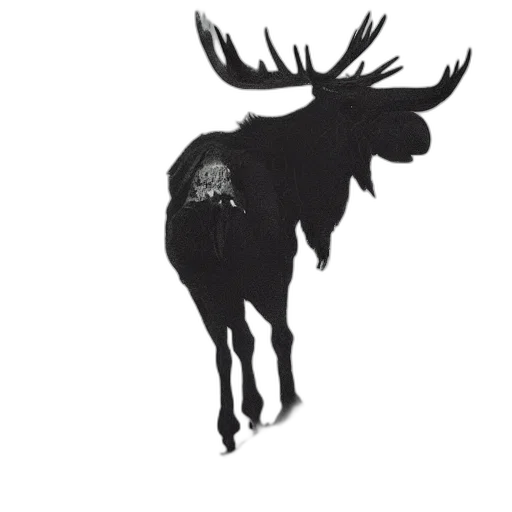 crown, animal, staff, hat transparent PNG cut-out