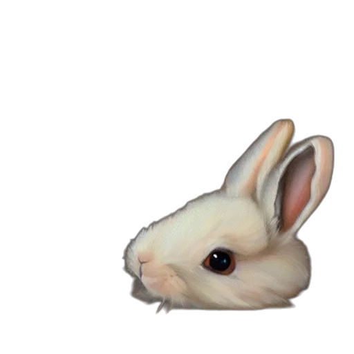 animal, creature, face, weapon transparent PNG cut-out