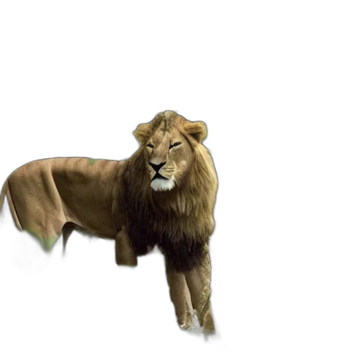 animal, crown, creature, staff transparent PNG cut-out