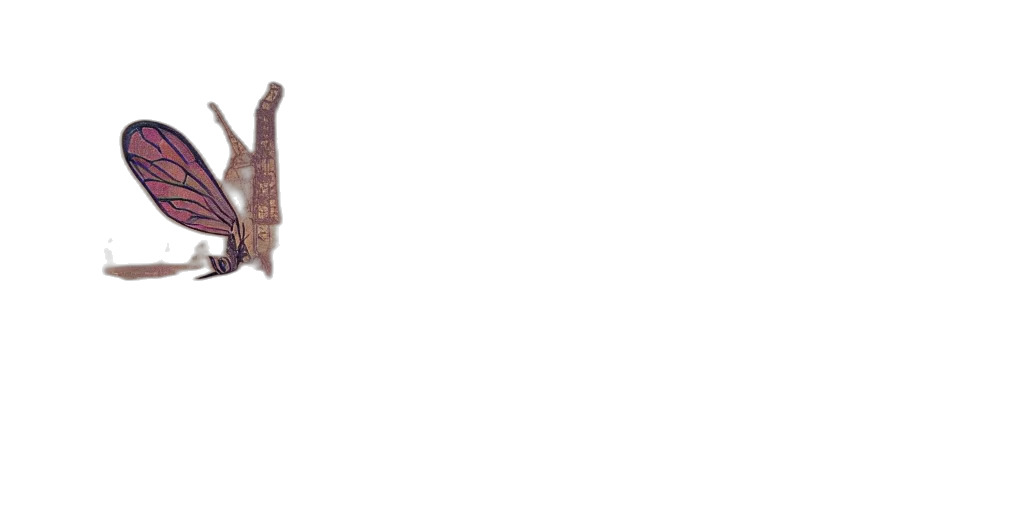 shoes, hair, dragon, staff transparent PNG cut-out