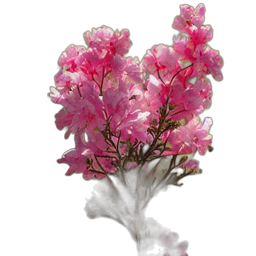 flower, tree, crown, staff transparent PNG cut-out