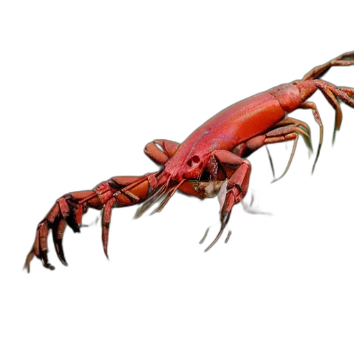 animal, creature, food, weapon transparent PNG cut-out