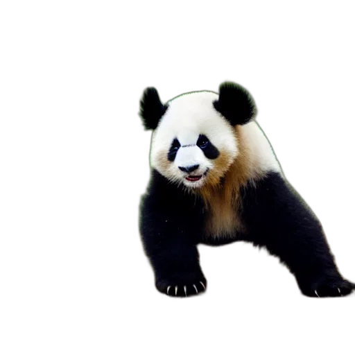 animal, creature, staff, mask transparent PNG cut-out