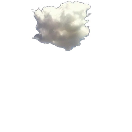 crown, umbrella, hair, tree transparent PNG cut-out