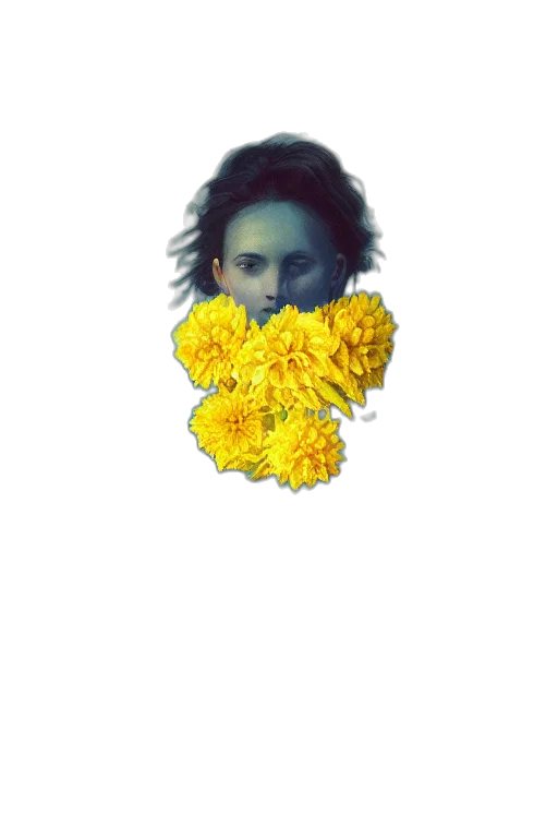 flower, face, mask, crown transparent PNG cut-out