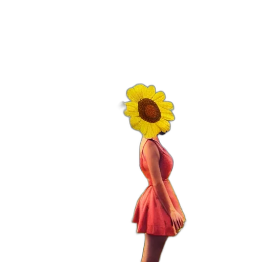 dress, flower, crown, hat transparent PNG cut-out