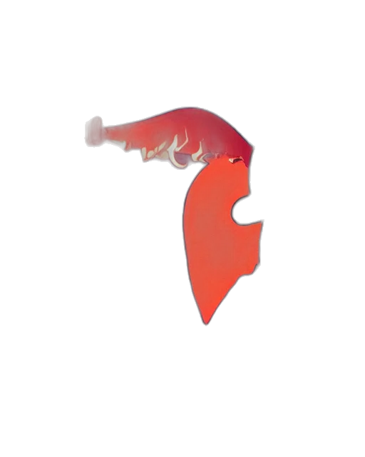 face, mask, dragon, staff transparent PNG cut-out