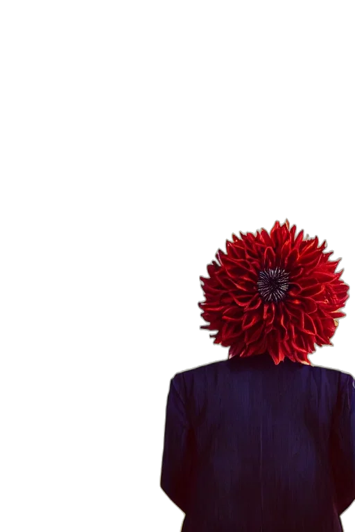 crown, hair, jacket, flower transparent PNG cut-out