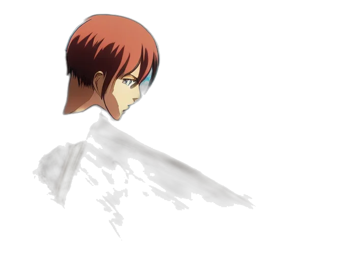 face, creature, hair, mask transparent PNG cut-out