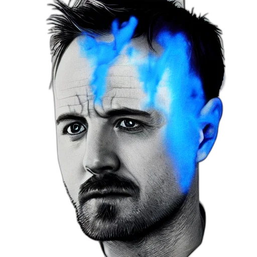 face, hair, mask, animal transparent PNG cut-out