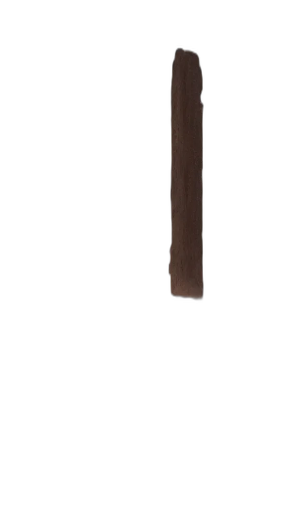 staff, umbrella, weapon, sword transparent PNG cut-out