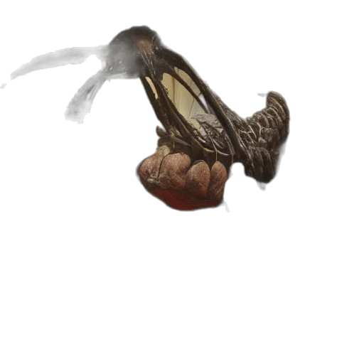 creature, animal, dragon, shoes transparent PNG cut-out