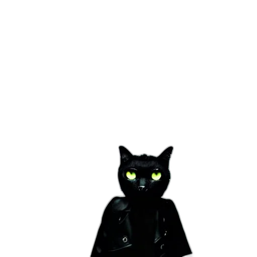 staff, animal, jacket, creature transparent PNG cut-out