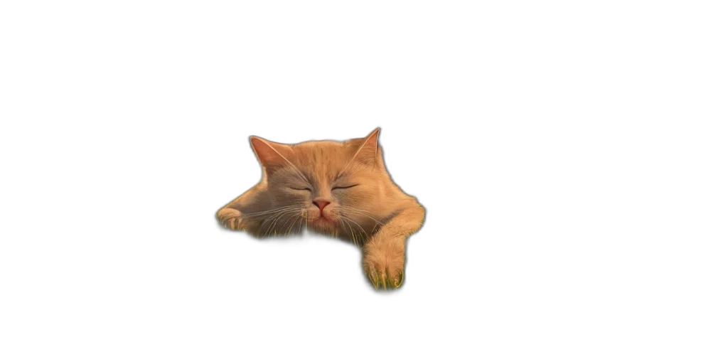 animal, creature, face, food transparent PNG cut-out
