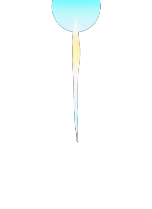 flower, umbrella, sword, staff transparent PNG cut-out