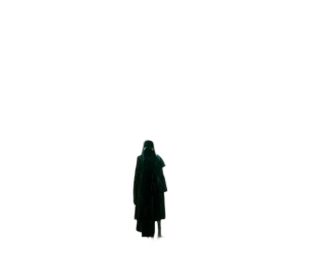 jacket, dress, staff, umbrella transparent PNG cut-out