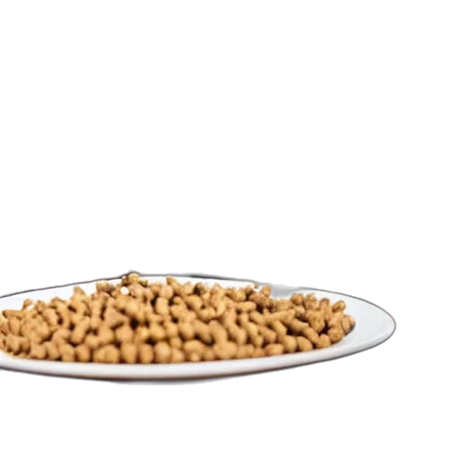 food, crown, jewelry, animal transparent PNG cut-out