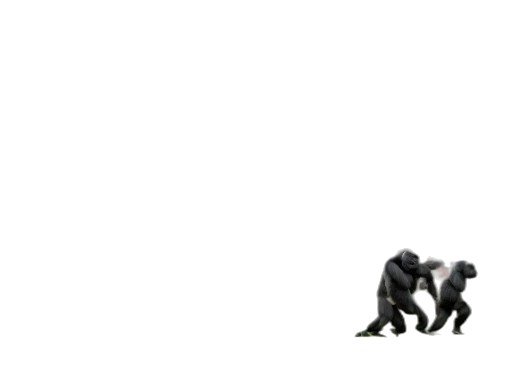 animal, creature, shoes, robot transparent PNG cut-out