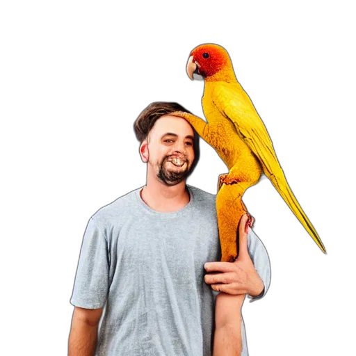 staff, animal, hat, umbrella transparent PNG cut-out