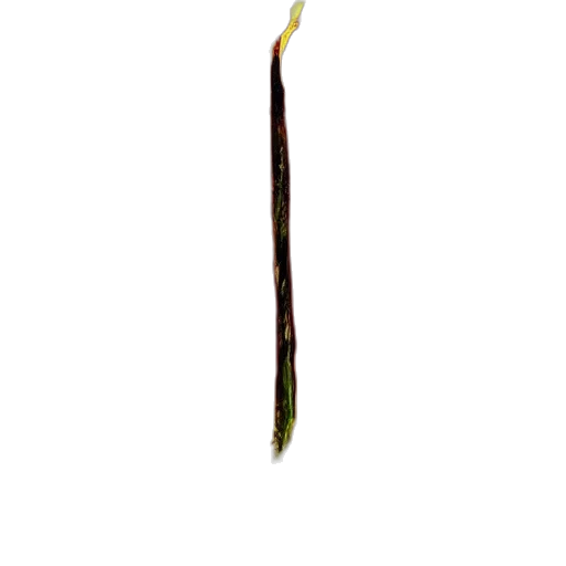 hair, staff, sword, weapon transparent PNG cut-out