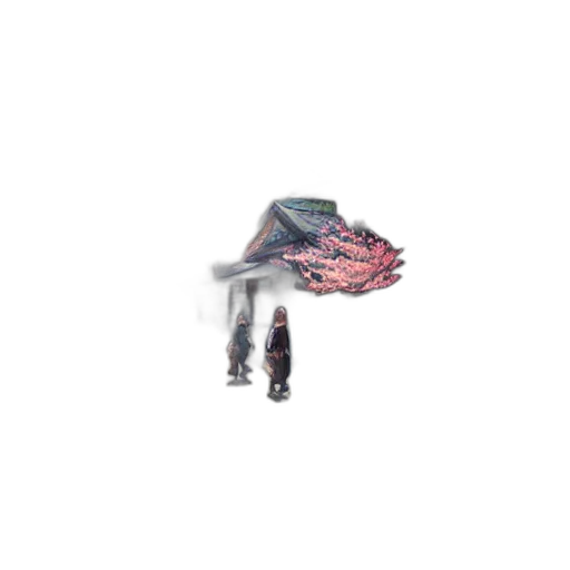 dragon, creature, shoes, animal transparent PNG cut-out