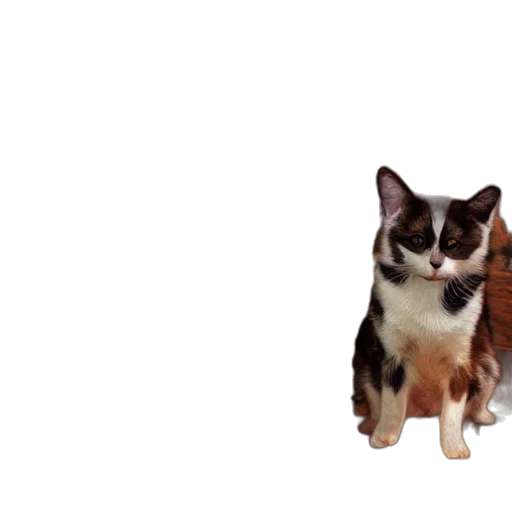 animal, creature, staff, face transparent PNG cut-out