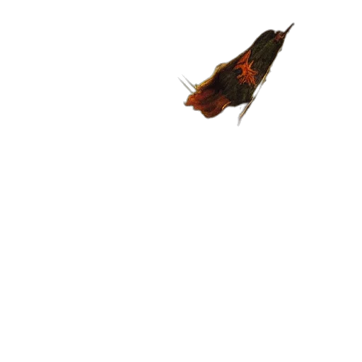 animal, creature, dragon, crown transparent PNG cut-out