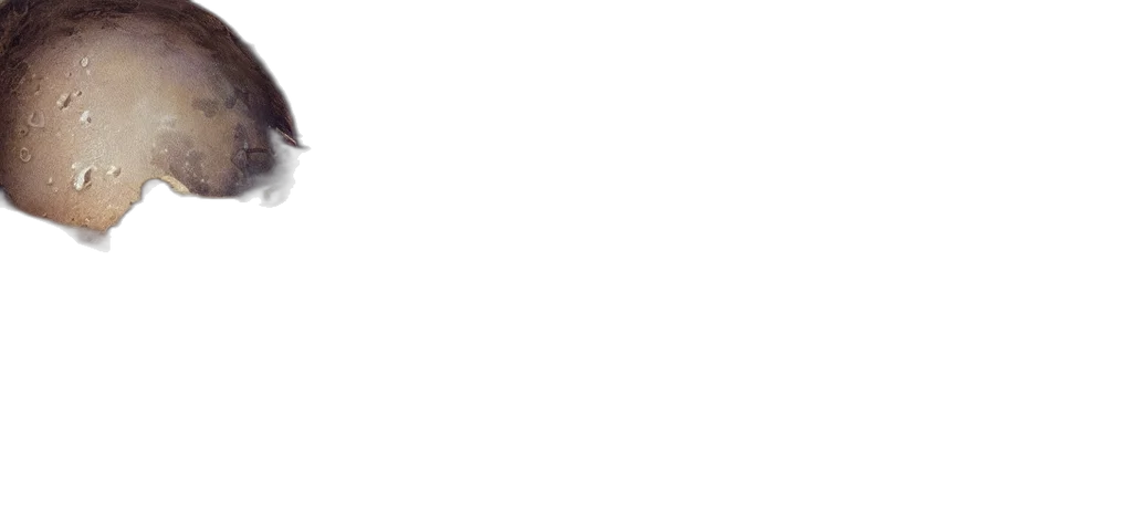 moon, protodoom, cog, scribe transparent PNG cut-out
