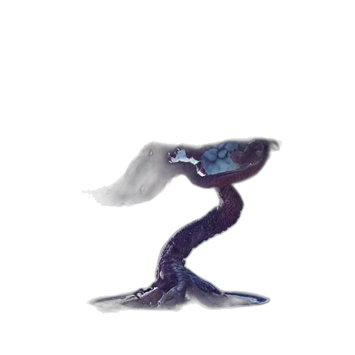 dragon, creature, hair, animal transparent PNG cut-out