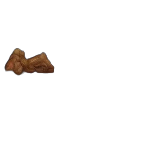 food, animal, shoes, weapon transparent PNG cut-out