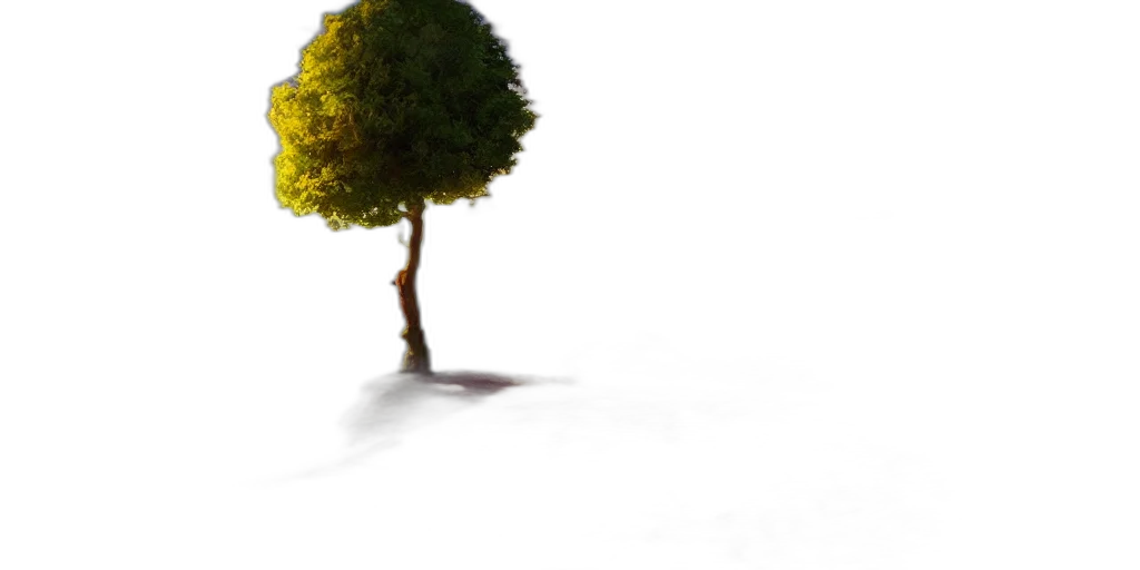 tree, umbrella, staff, crown transparent PNG cut-out