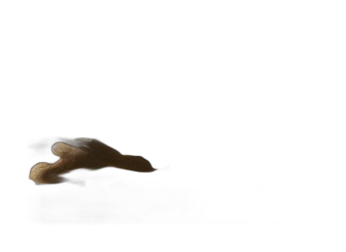 animal, hair, creature, shoes transparent PNG cut-out