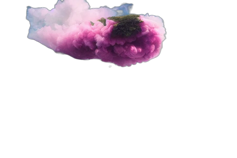 dragon, flower, hair, crown transparent PNG cut-out