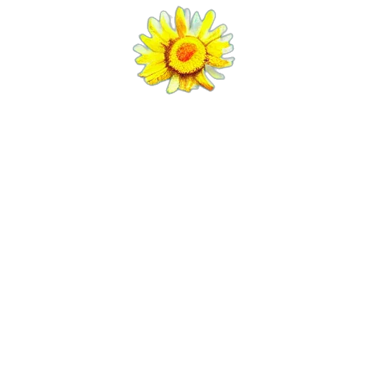 flower, staff, jewelry, crown transparent PNG cut-out