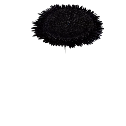 hat, hair, crown, mask transparent PNG cut-out