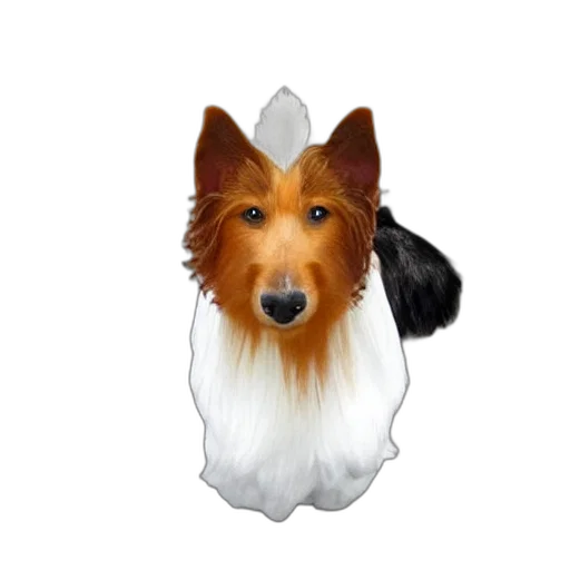 animal, staff, crown, creature transparent PNG cut-out