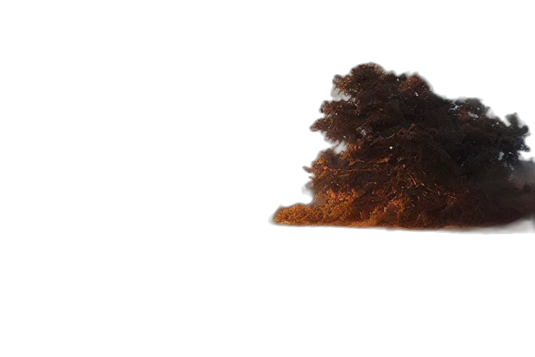 hair, tree, crown, hat transparent PNG cut-out