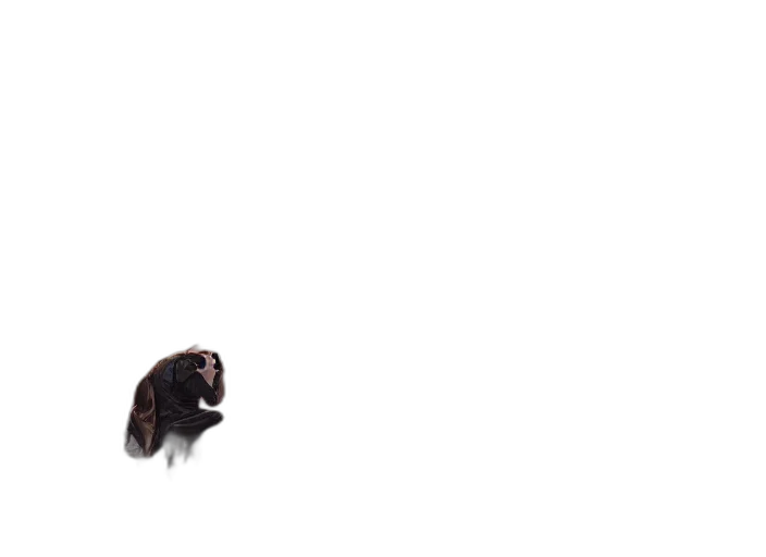 animal, creature, staff, hair transparent PNG cut-out