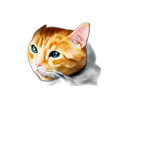 animal, creature, staff, face transparent PNG cut-out