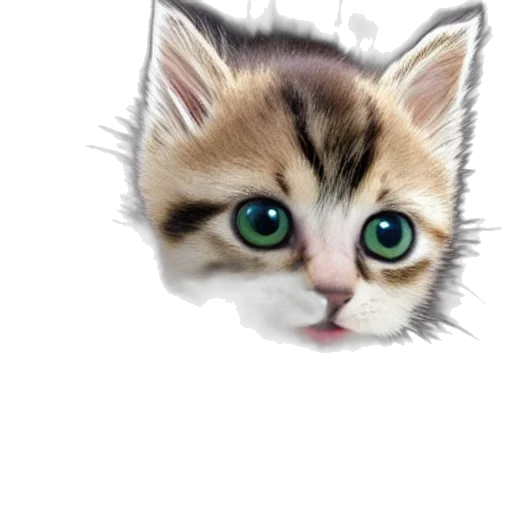 animal, creature, face, staff transparent PNG cut-out